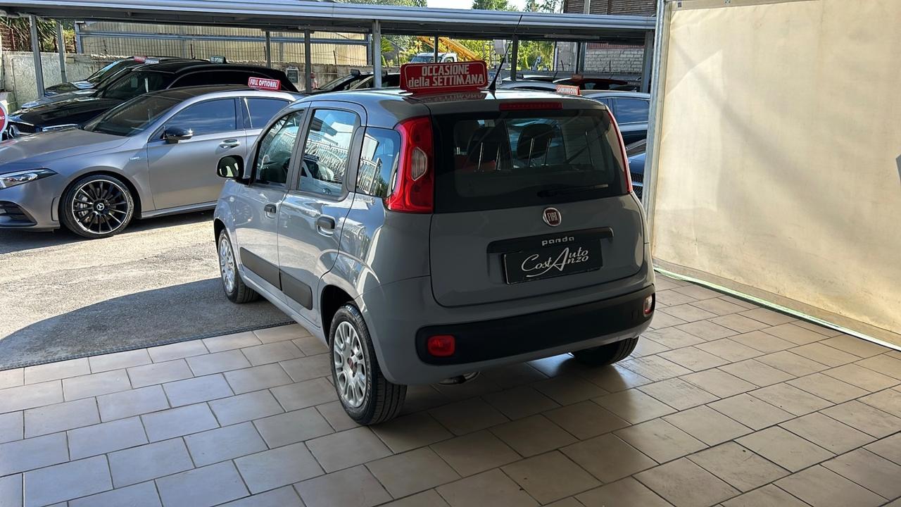 Fiat Panda 1.2 Benzina 69 cv Easy 2018