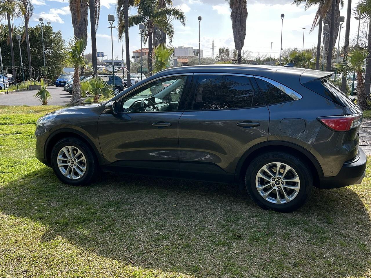 Ford Kuga 1.5 EcoBlue 120 CV aut. 2WD Titanium Business