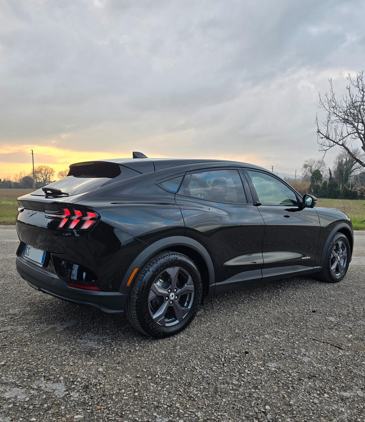 Ford Mustang Mach-E Standard Range 269 CV