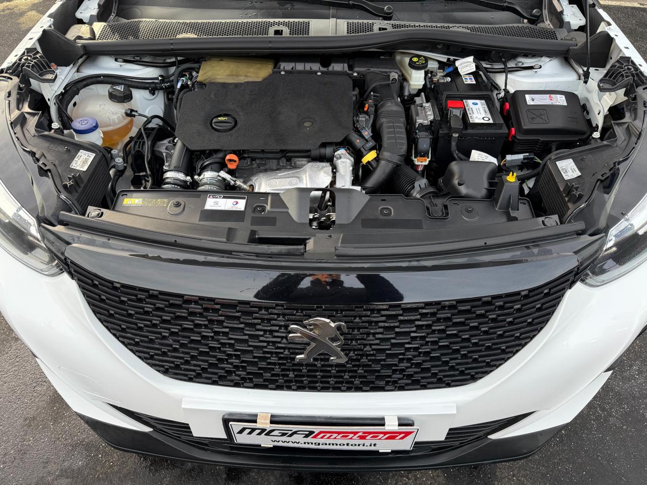 Peugeot 2008 2008 1.5 bluehdi Active s&s 110cv