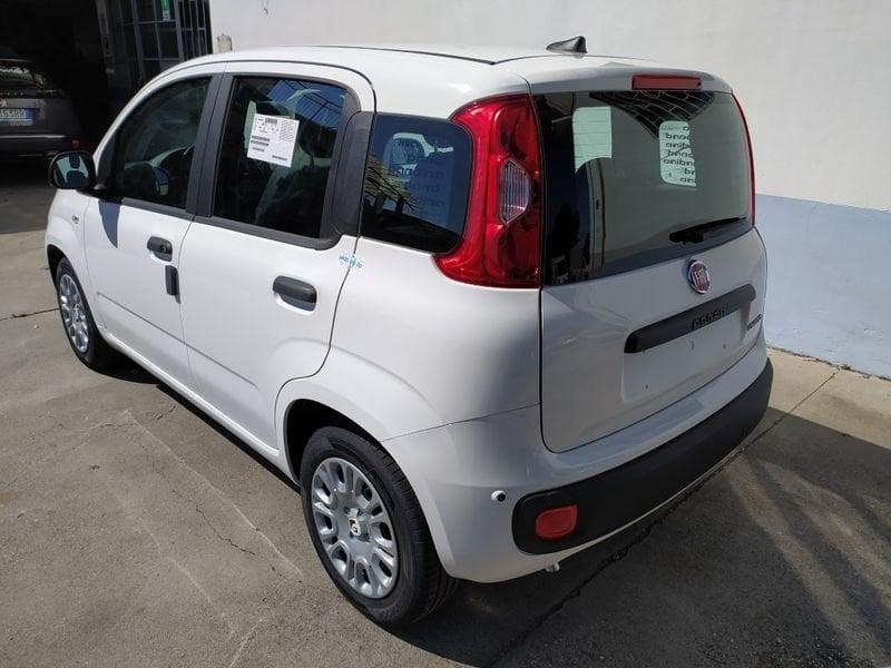 FIAT Pandina 65 Pandina hybrid Icon Promo CBC 5