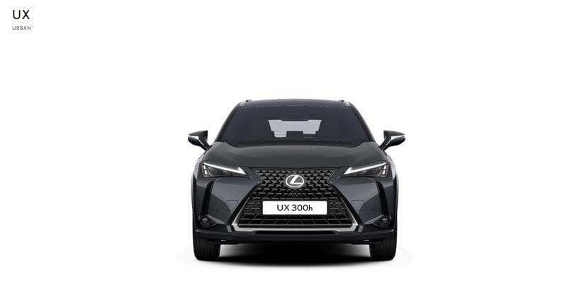 Lexus UX 300h Urban