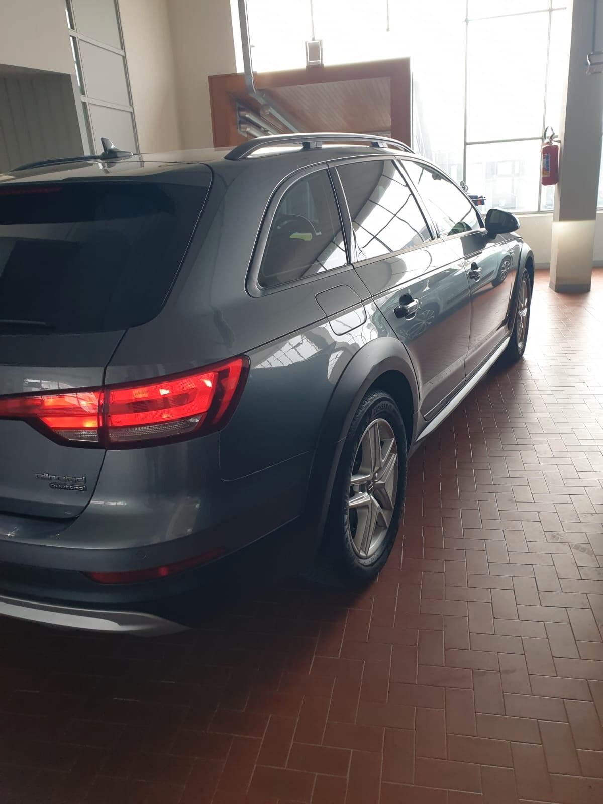 Audi A4 allroad A4 allroad 2.0 TDI 190 CV Business Evolution