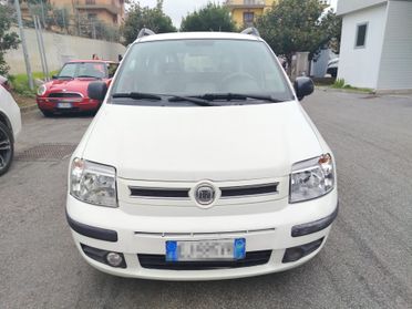 Fiat Panda 1.2 Van Dynamic 4 posti Per Neopatentati
