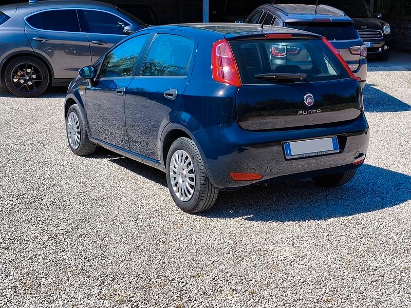 Fiat Punto 1.2 8V 5 porte Street