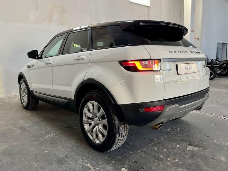 Land Rover RR Evoque Range Rover Evoque 2.0 TD4 150 CV 5p. SE Dynamic N1