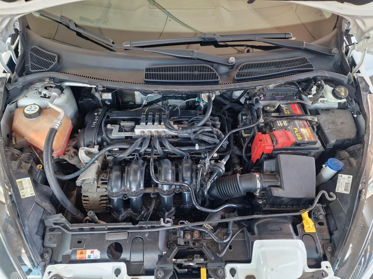 Ford Fiesta 1.4 5 porte Bz.- GPL Titanium
