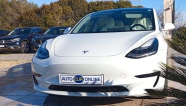 Tesla Model 3 Model 3 Standard RWD Plus