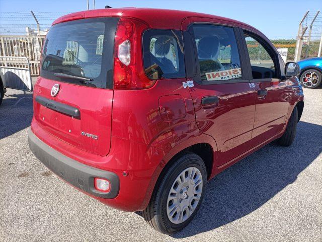 FIAT Panda 1.0 FireFly S&S Hybrid PREZZO REALE