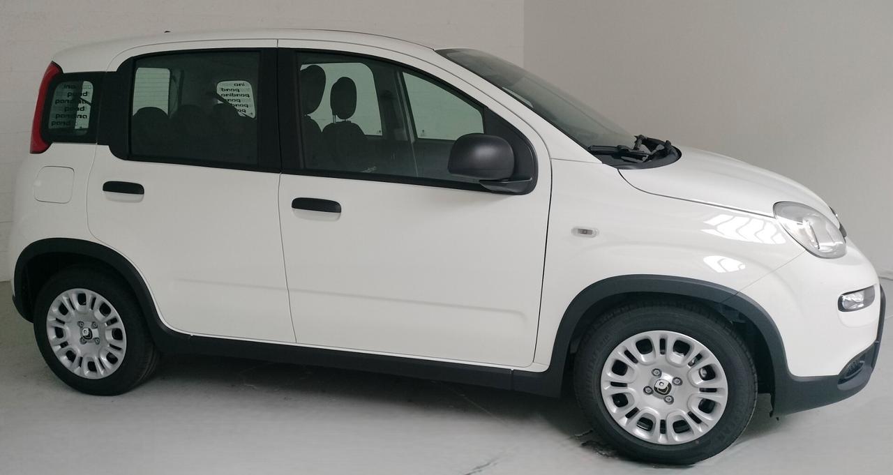 Fiat Panda PANDINA 1.0 FireFly S&S Hybrid NEOPATENTATO