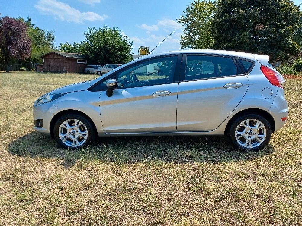 Ford Fiesta 1.4 5 porte Bz.- GPL Business