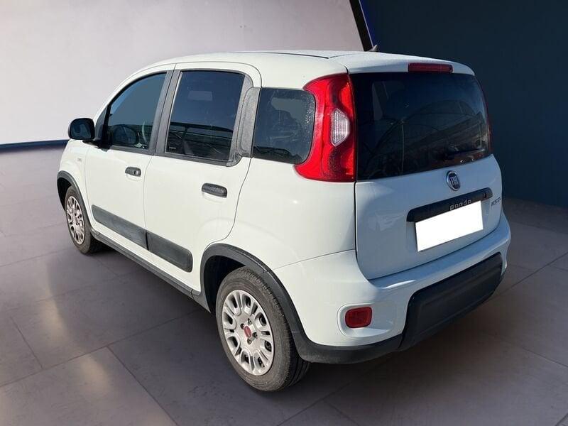 FIAT Panda III Van 2021 van 1.0 hybrid Street 70cv 4p.ti serie 4 E6d