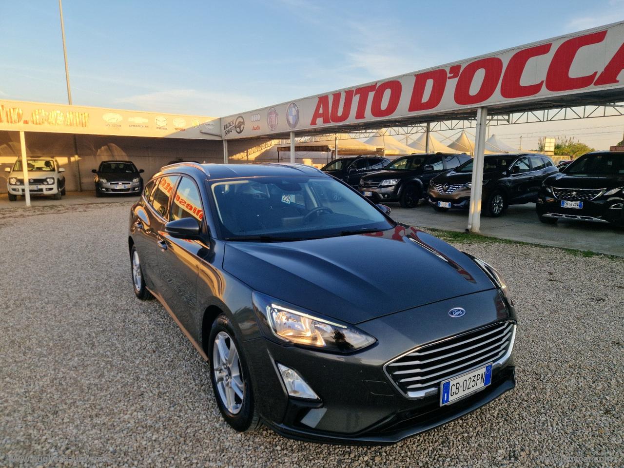 FORD Focus 1.5 EcoBlue 120CV 5p. Business