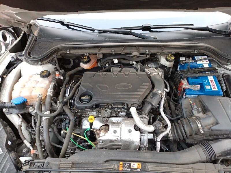 Ford Focus 1.5 EcoBlue 120 CV automatico SW Business Co-Pilot