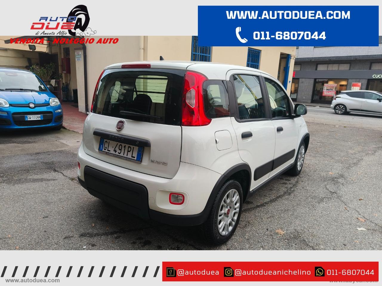 FIAT Panda 1.0 FireFly S&S Hybrid NO VINCOLI FINANZIARI
