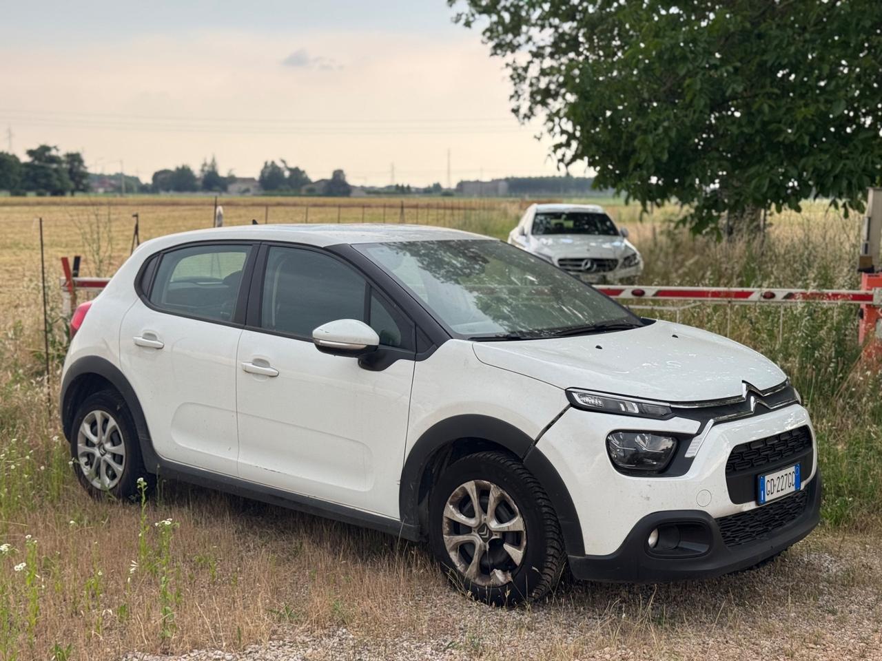Citroen C3 1.5 BlueHDi 102cv Van 2 Posti