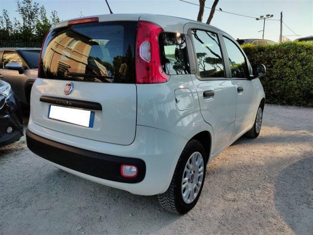 FIAT Panda 1.2 Easy CLIMATIZZATORE OK NEOPATENTATI