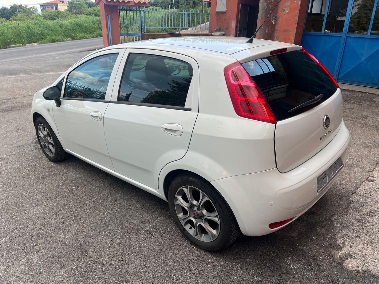 Fiat Punto 1.2 8V 5 porte Lounge-km81000-