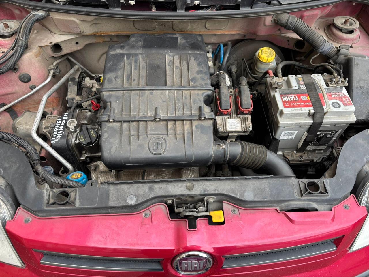 Fiat Panda 1.2 Emotion *VERA OCCASIONE*