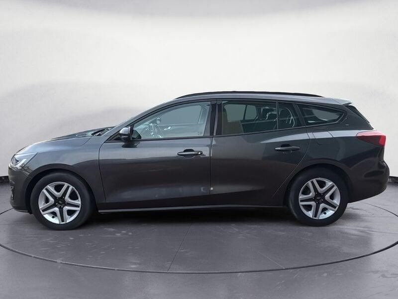 Ford Focus Focus 1.5 EcoBlue 120 CV automatico 5p. Business