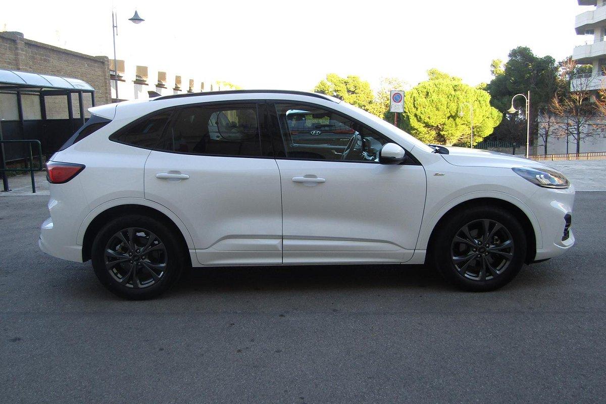 FORD Kuga 1.5 EcoBlue 120 CV aut. 2WD ST-Line