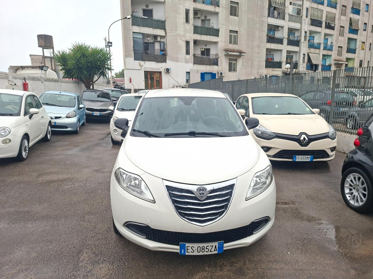 Lancia Ypsilon 0.9 TwinAir 85 CV 5 porte Metano Ecochic Elefantino