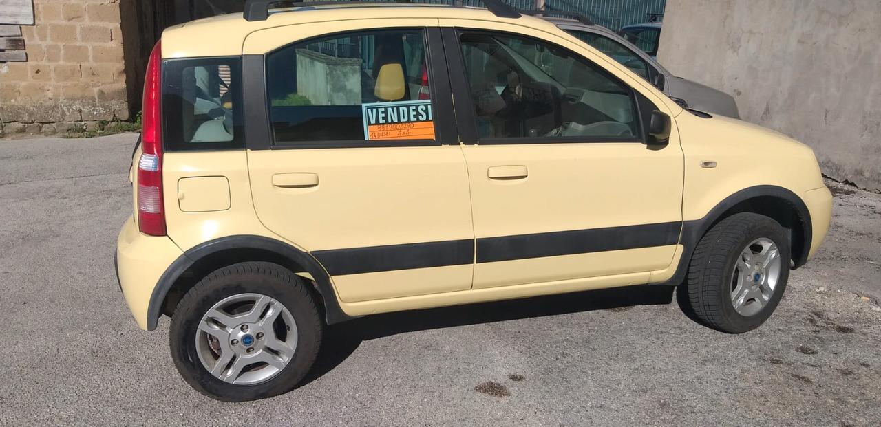 Fiat Panda 1.2 4x4 Climbing imp GPL