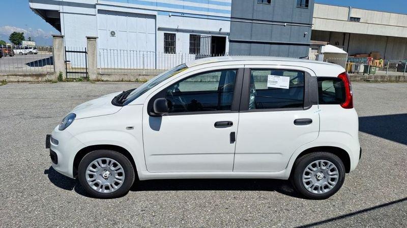 FIAT Pandina 1.0 firefly hybrid s e s 70cv