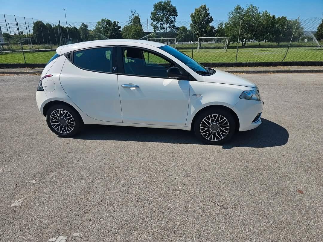 Lancia Ypsilon 1.2 69 CV 5 porte Gold