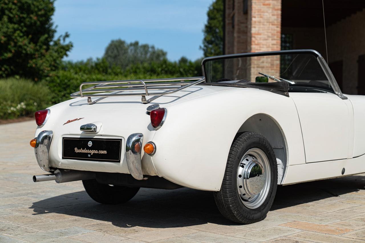 Austin Healey SPRITE - AUS00015