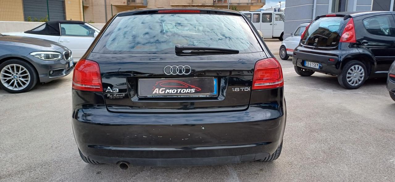 Audi A3 1.6 TDI 105 CV CR Ambiente