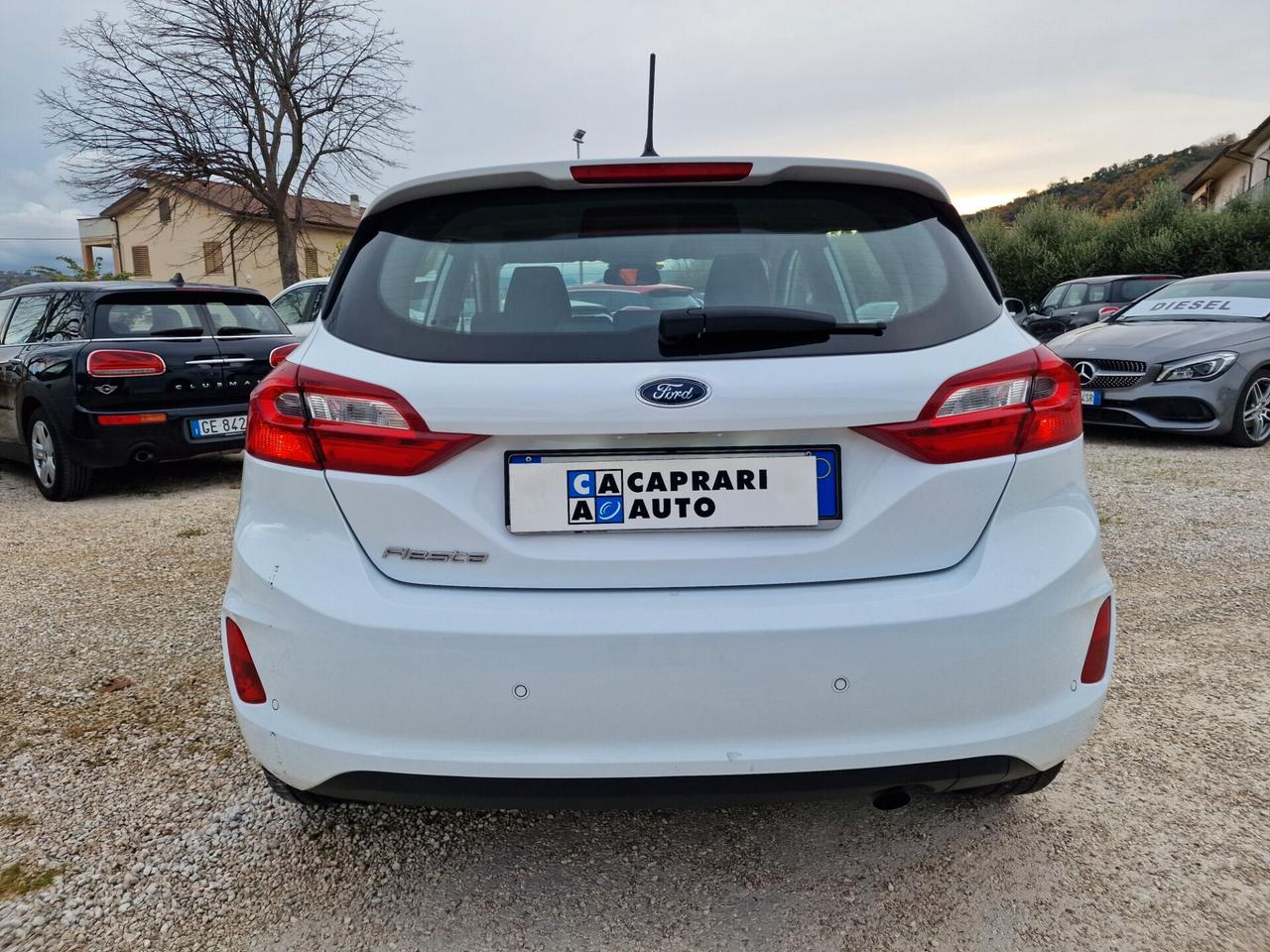 Ford Fiesta 1.5 EcoBlue 5 porte Business