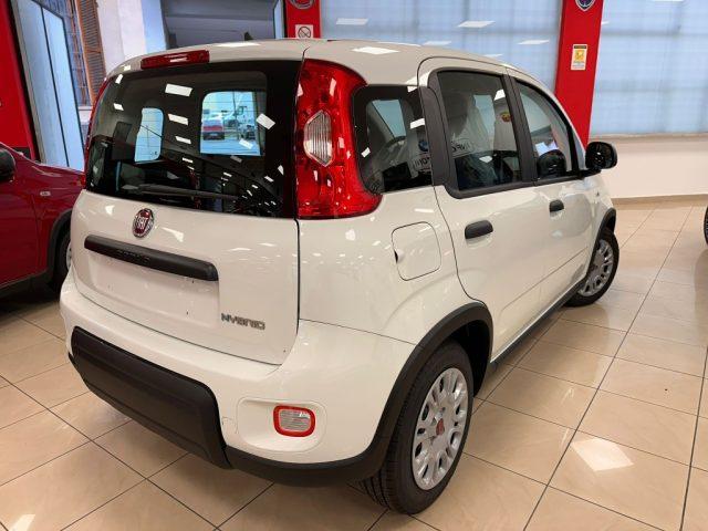 FIAT Panda 1.0 Hybrid PROMO CAR SERENITY