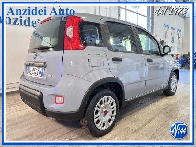 FIAT Panda 1.0 FireFly Hybrid 5 Posti