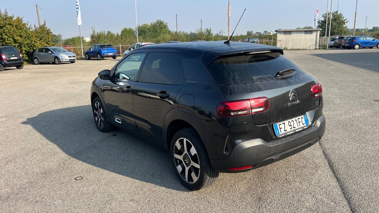Citroen C4 Cactus BlueHDi 100 S&S Shine Pack
