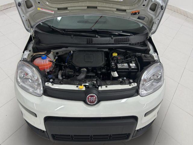 FIAT Panda 1.0 ADAS ICON Hybrid SENZA FINANZIAMENTO