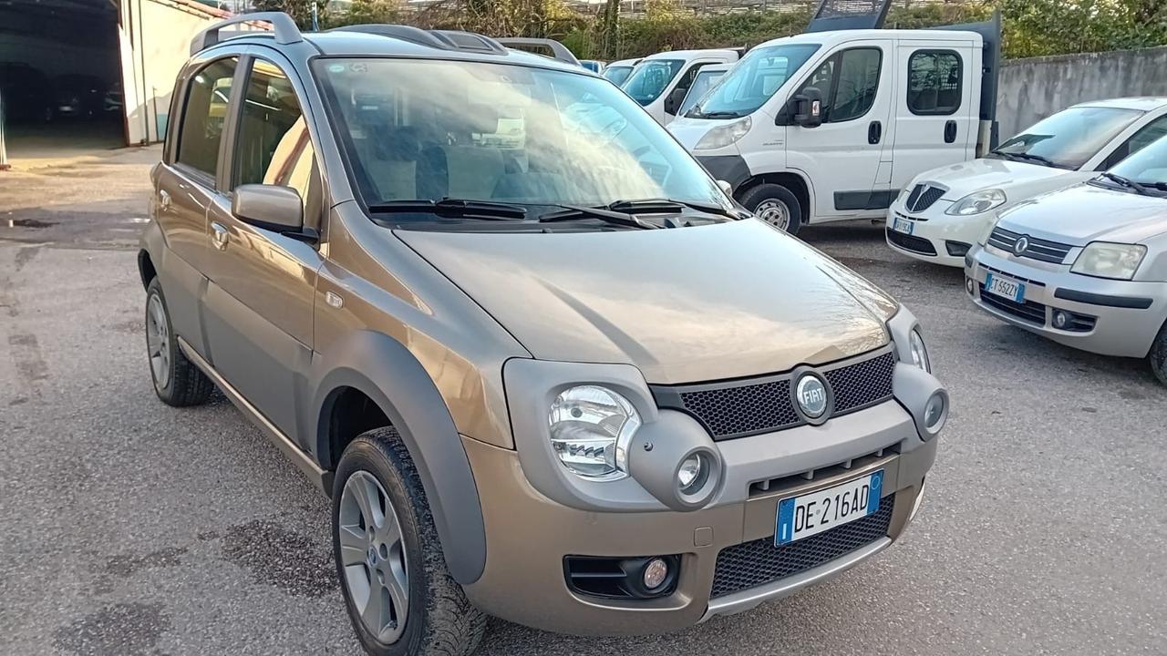 Fiat Panda cross 4 × 4-1.3 mjt-2007