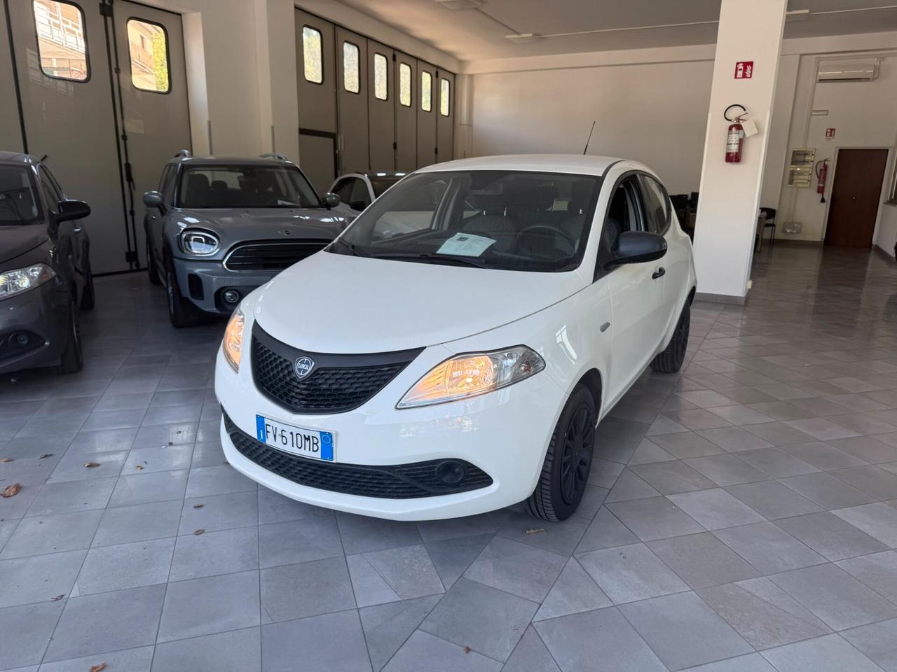 Lancia Ypsilon 1.2 69 CV 5 porte Elefantino Blu