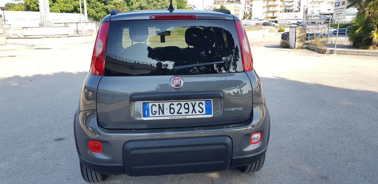 FIAT PANDA 1.0 FIREFLY HYBRID 26.000 KM. 05/2023