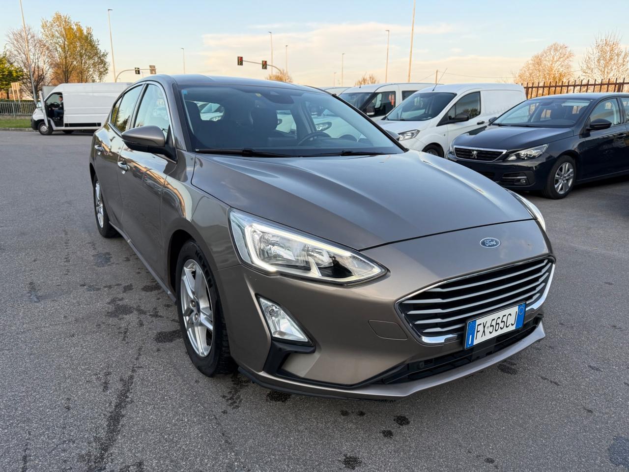 Ford Focus 1.5 EcoBlue 120 CV automatico 5p. Business Co-Pilot