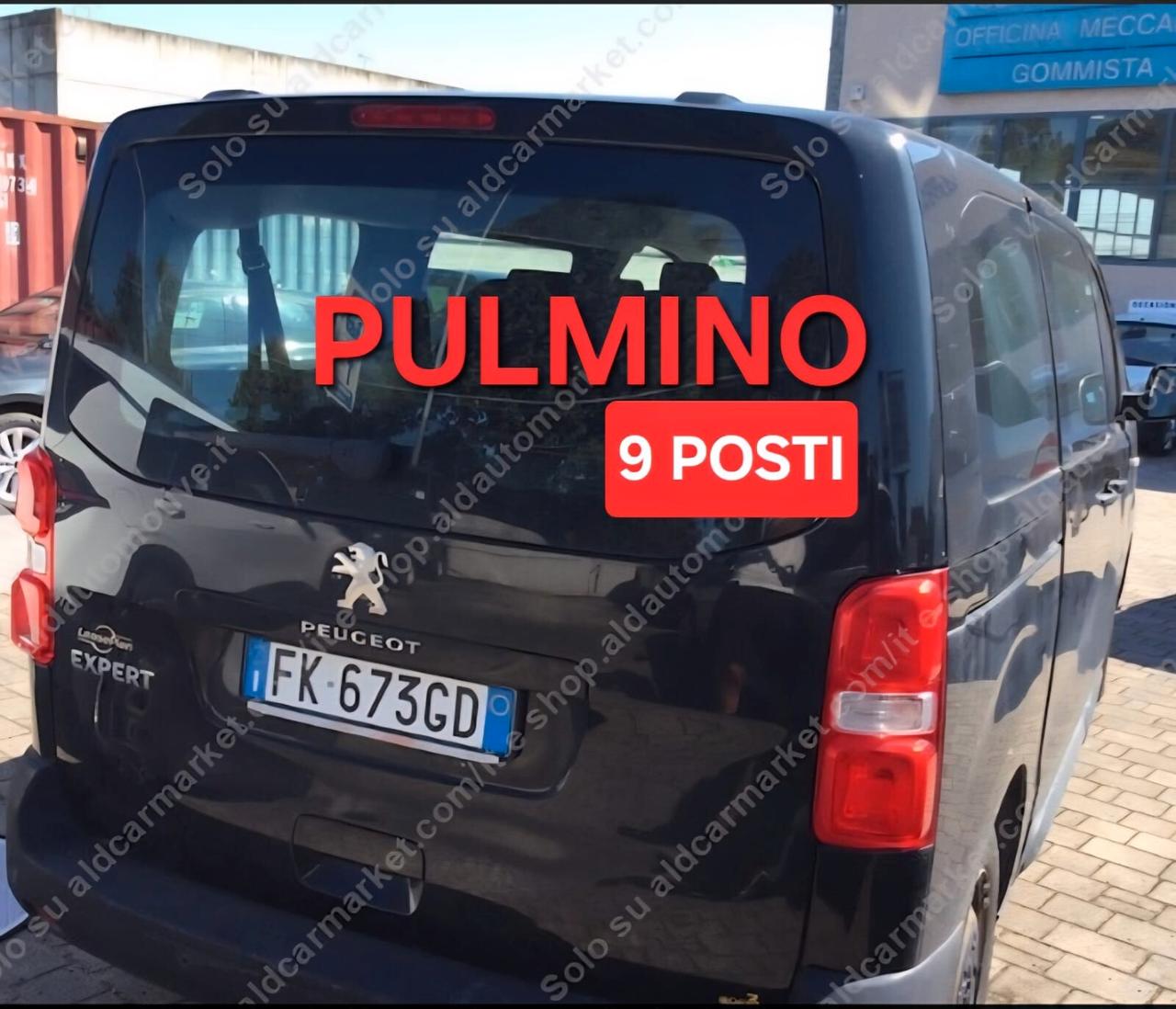 PEUGEOT EXPERT TRAVELLER 1.6 9 POSTI
