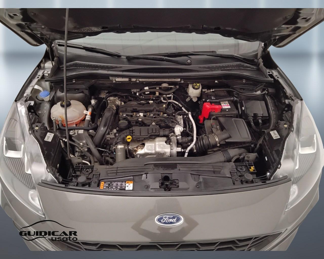 FORD Kuga III 2020 - Kuga 1.5 ecoblue ST-Line 2wd 120cv