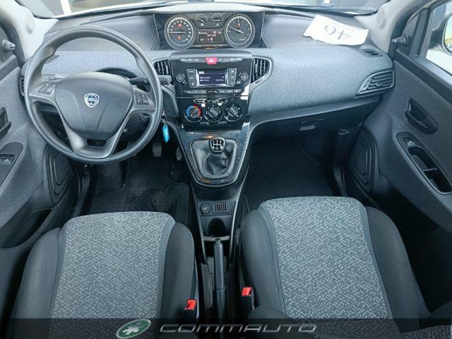 LANCIA Ypsilon 1.2 69CV 5porte Elefantino Blu ADATTA PER NEOPAT