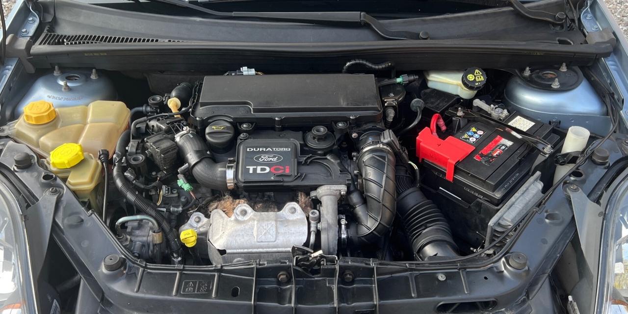 Ford Fiesta 1.4 TDCi 5p. Titanium