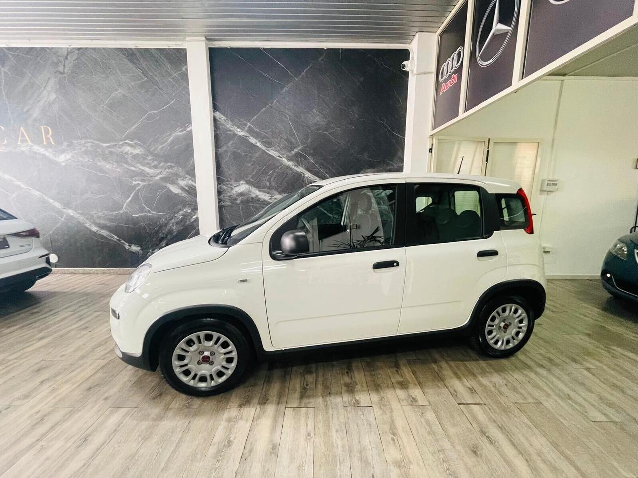 Fiat Panda 1.0 FireFly S&S Hybrid AZIENDALE 5 POSTI KM 1.633