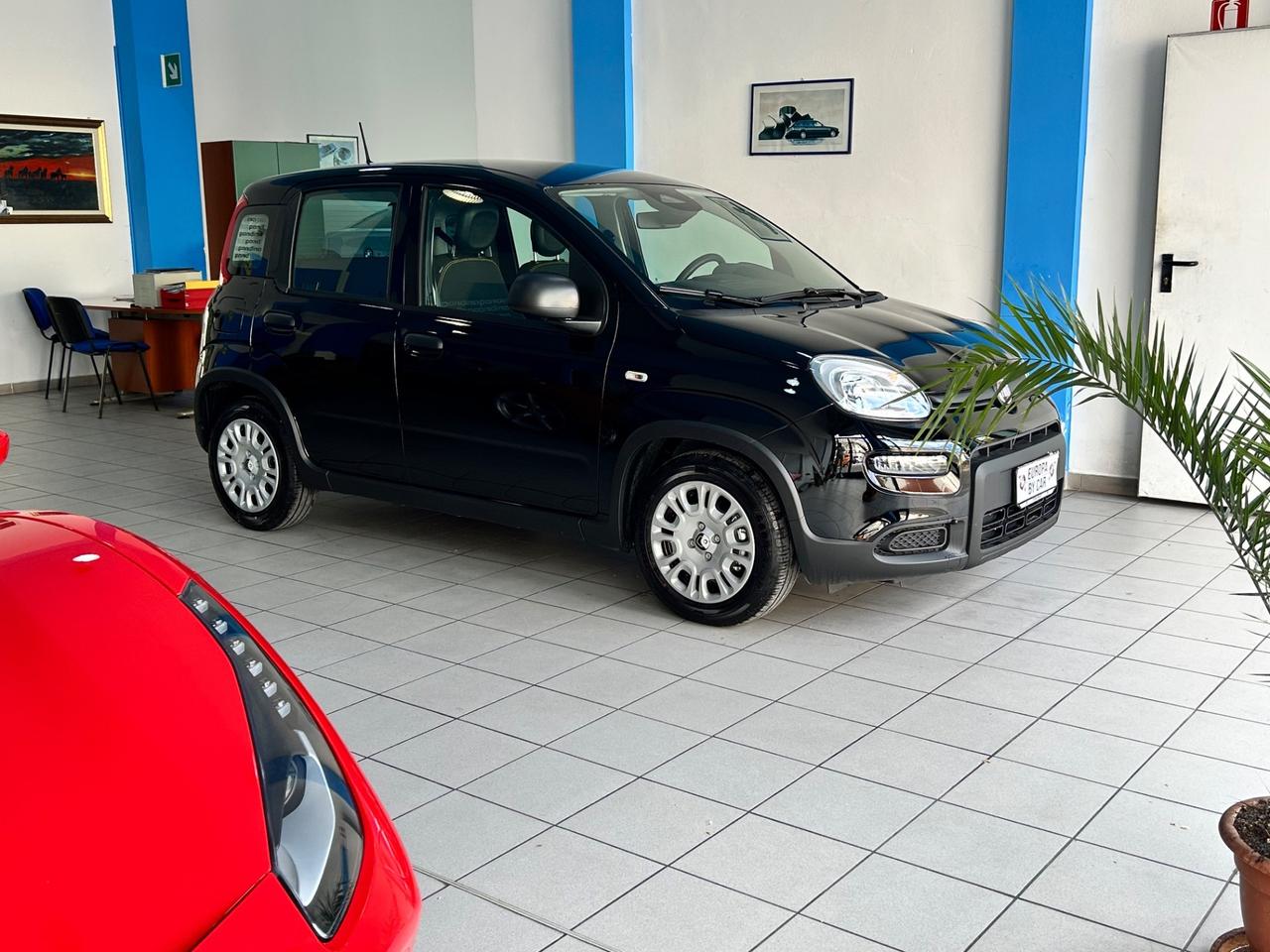 Fiat Panda 1.0 FireFly S&S Hybrid Pandina