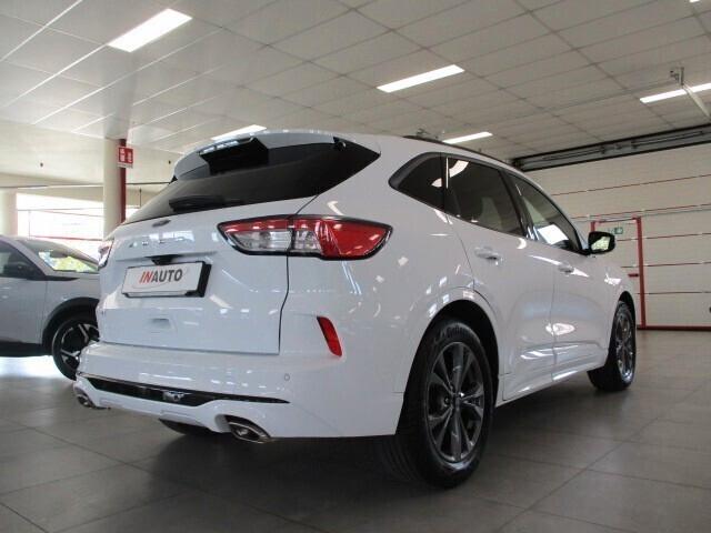 Ford Kuga 1.5 EcoBlue 120 CV aut. 2WD ST-Line