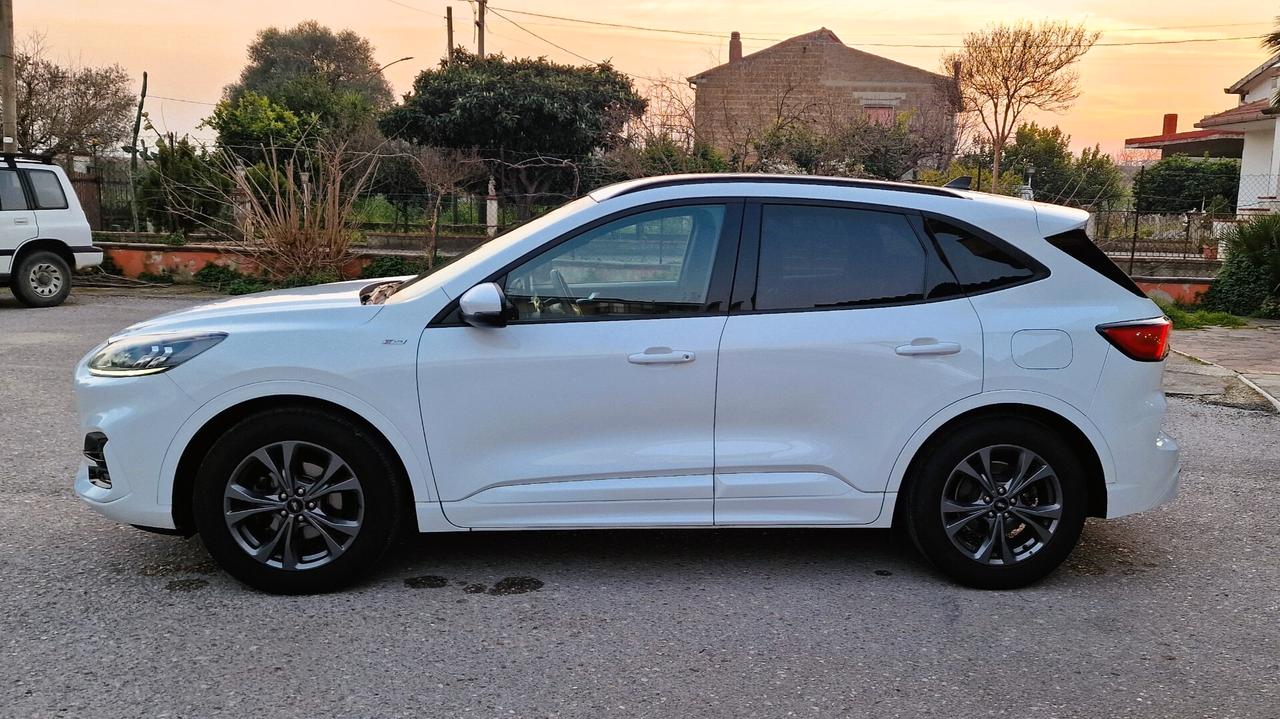 Ford Kuga 1.5 EcoBlue 120 CV 2WD ST-Line
