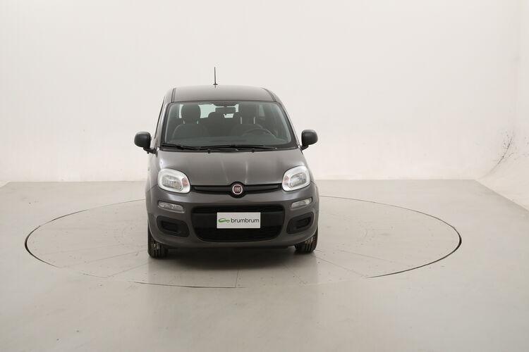Fiat Panda Hybrid BR437073 1.0 Mild Hybrid 70CV