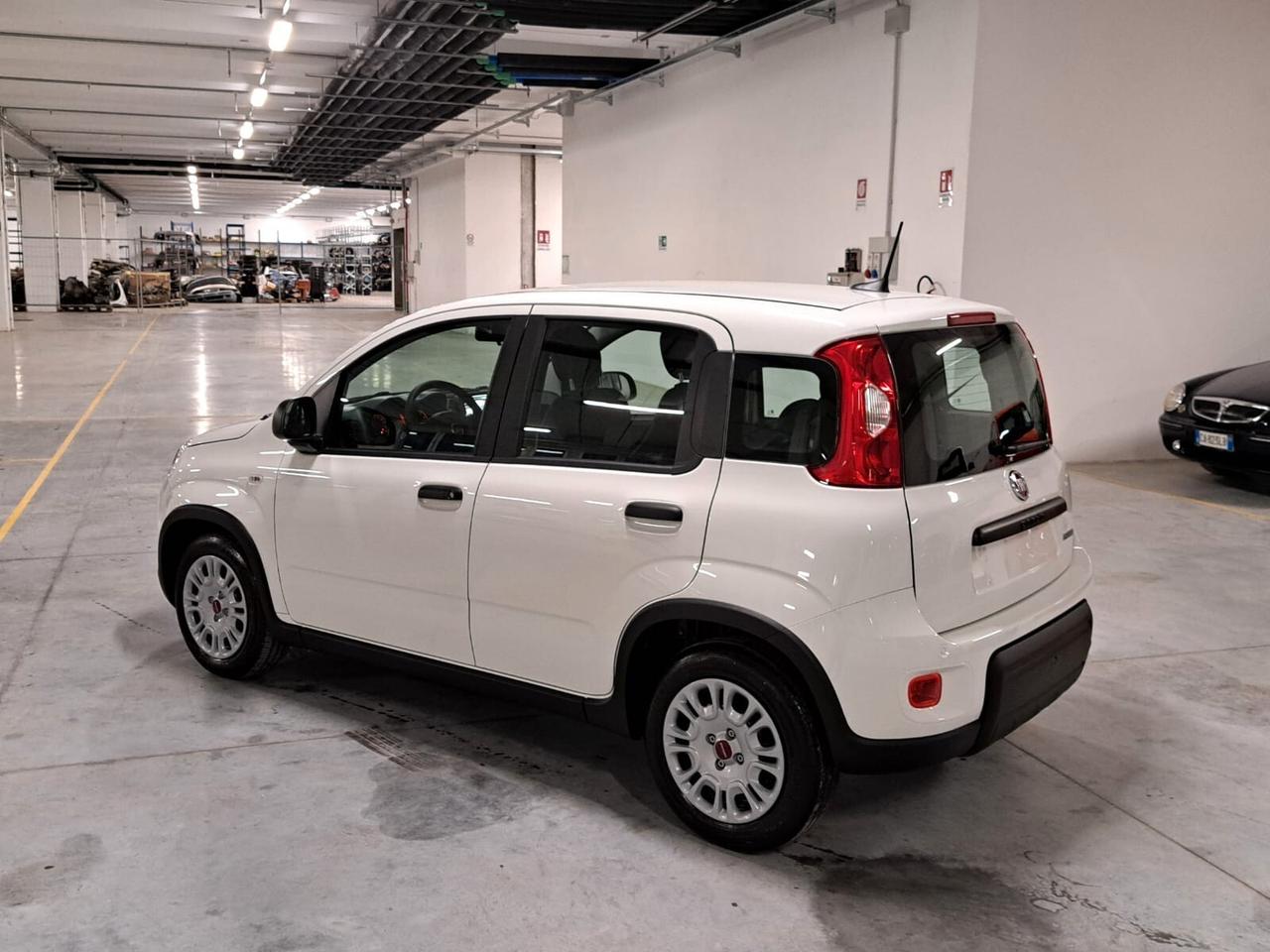 Fiat Panda 1000 FireFly Hybrid 70CV Panda 5 Porte Km. 0 (5 Posti)
